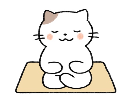 体力プログラムと自己紹介のポイントのイメージ画像