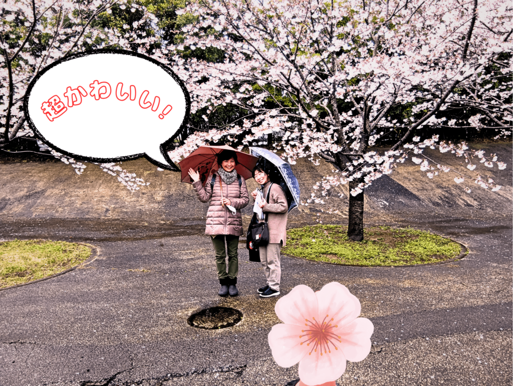 ～桜だけではない、お花見（花を鑑賞すること）の効果をご存知ですか？毎年パレットでお花見のプログラムを行う理由～のイメージ画像