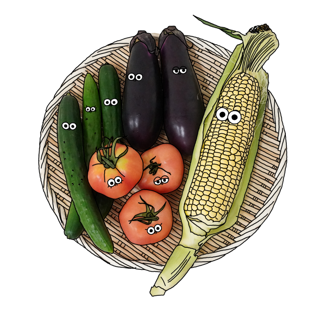 こころと体をととのえる『旬の食材』のイメージ画像