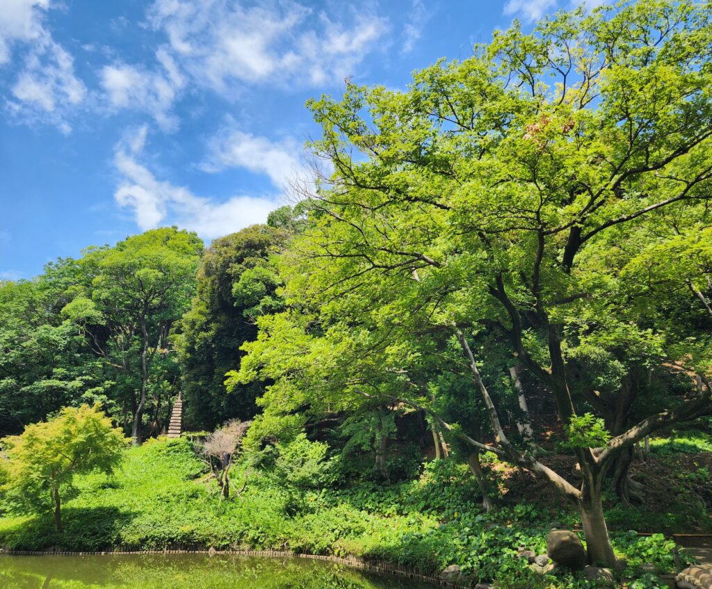 感情のコントロールができず苦しさを抱えているあなたへのイメージ画像