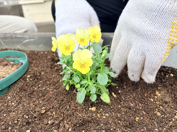 来週のプログラムをチェック！令和7年12/8～12/13のイメージ画像
