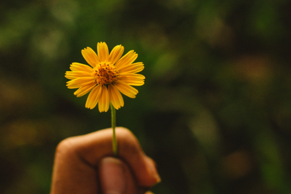 近くのヒント【卒業生コラム】のイメージ画像